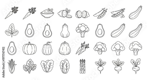 Versatile collection of various fresh vegetable line art icons for healthy eating and vegan diet concepts. Organic produce outlines