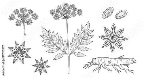 Minimalist Outline Vector Icons of Alcoholic Drinks and Bottles for Bars, Menus, and Beverage Industry