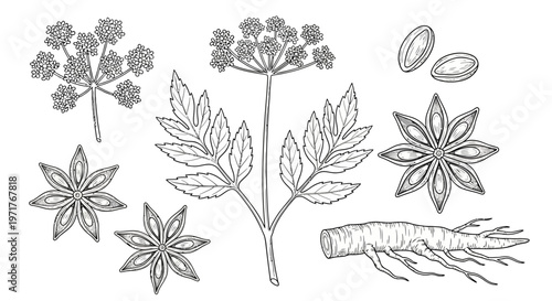 Minimalist Outline Vector Icons of Alcoholic Drinks and Bottles for Bars, Menus, and Beverage Industry