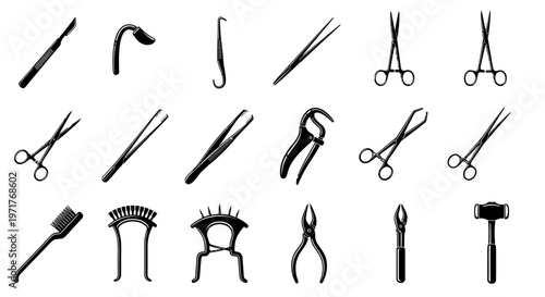 Collection of Various Surgical and Dental Instruments on a White Background