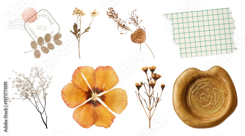 Canvastavla PNG Vintage botanical scrapbook elements on transparent background