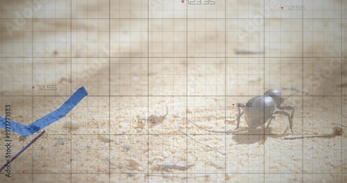 Crawling dark scarab-like beetle casting shadow on sand with blue graph overlay, copy space