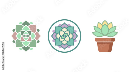 Succulent Plant Icons: Geometric Floral Designs and Potted Echeveria