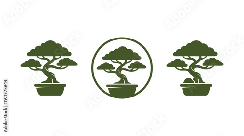 Three stylized bonsai trees in pots, minimalist green design, vector art.