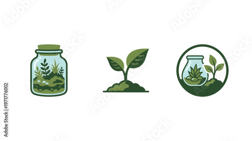 Green plant growth icons: terrarium, seedling, and potted plant in a circle.