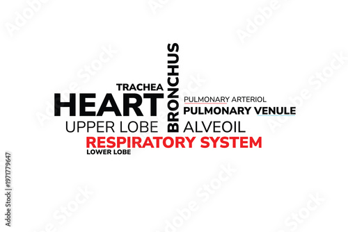 Human Respiratory System Anatomy Word Cloud Illustration with Heart Trachea Bronchus Pulmonary Alveoli Lungs