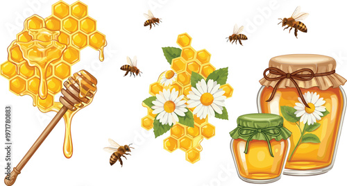 Set of honeycomb honey dipper bees and jars with chamomile isolated on white background natural product vector illustration collection