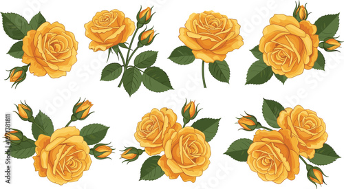 Set of yellow roses with leaves and buds isolated on white background floral vector illustration collection