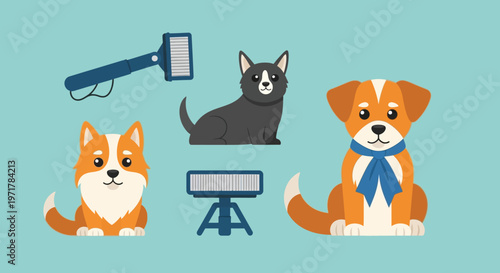 Corgi and cat with grooming tools.