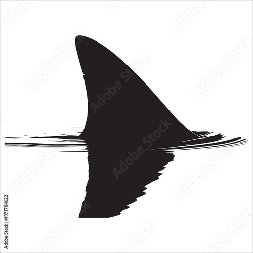 Shark fin, black silhouette, ocean predator, aquatic animal, sea creature