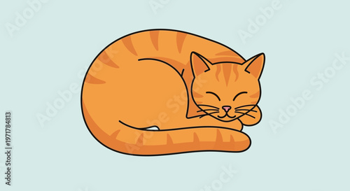 Sleeping Orange Tabby Cat Cuddled.