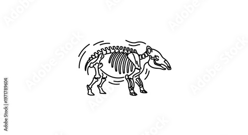 Dinosaur skeleton outline, prehistoric animal fossil, ancient creature bone structure, isolated on white