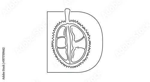 Durian Fruit Letter D Logo Design, Tropical Exotic Fruit Icon, Vector Illustration