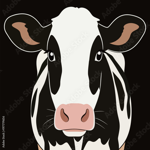 Cow face with black and white pattern looks directly at the viewer on a dark background
