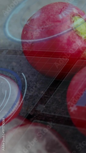 Vertical video: Overlay activating, drifting over radish with scar and sliced half showing texture