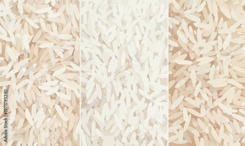 Different types of rice are shown together in a close view, highlighting their shapes and colors in a simple arrangement