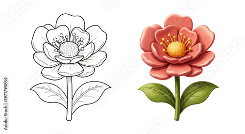 Coloring Page Flower Outline Next to Vibrant Watercolor Illustration