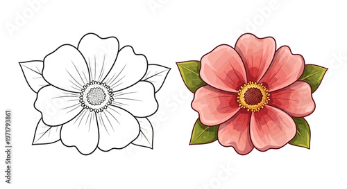 Coloring Page Flower Outline vs. Vibrant Watercolor Painting