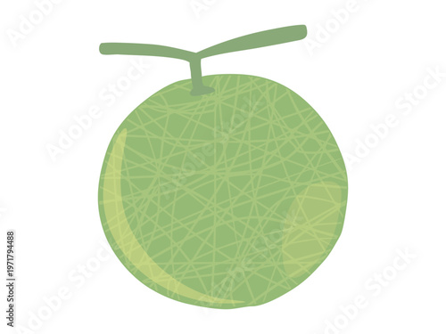 メロン 網目 主線なし