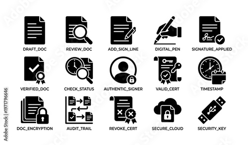 Document verification and digital security icons set