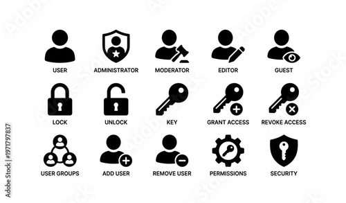 User access and security icons collection for digital management
