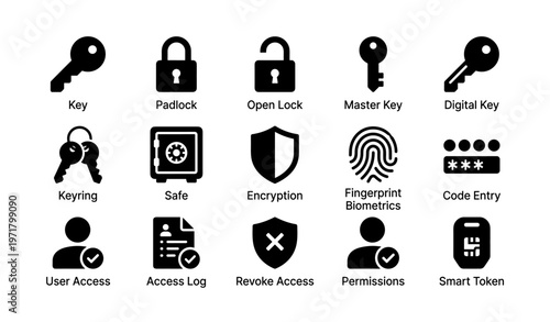 Icons of security: keys, locks, encryption, biometrics, and access control