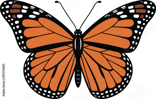 Beautiful monarch butterfly with open wings in clean minimal line art vector isolated on white background