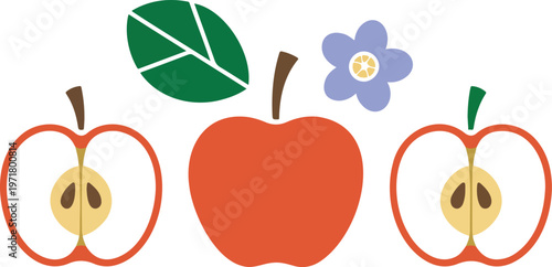 Red apple elements set with slices flower and leaf minimal flat vector illustration with grainy texture isolated on white background food collection
