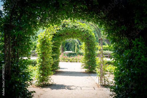 scenic garden walkway lined with arches covered in climbing green vines.