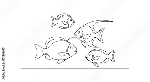 Four Angelfish Swimming Together in Clear Water, Line Art Illustration