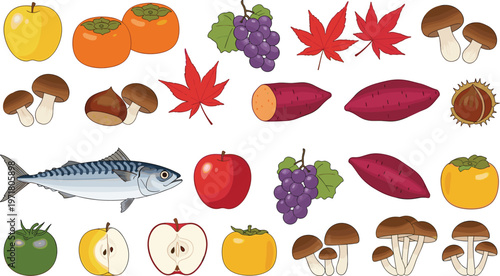 Autumn Food Collection Vector Illustration, Seasonal Fruits Vegetables Fish and Mushrooms Set, Fall Harvest Elements Isolated on White Background