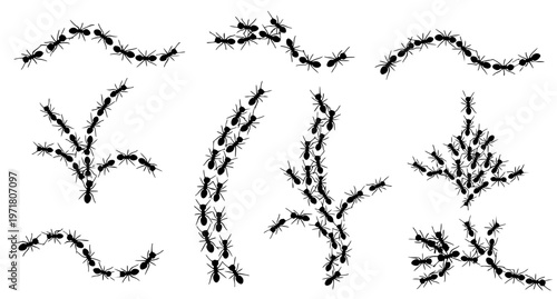 Black Ant Trail Silhouette Vector Illustration Set
