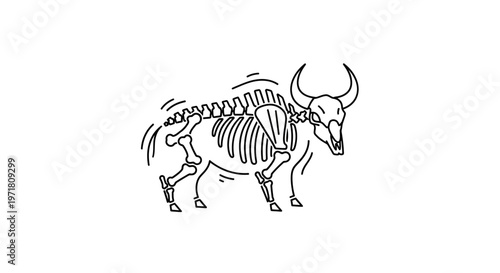 Buffalo Skeleton Illustration: A Stylized Outline of a Bovid's Skeletal Structure