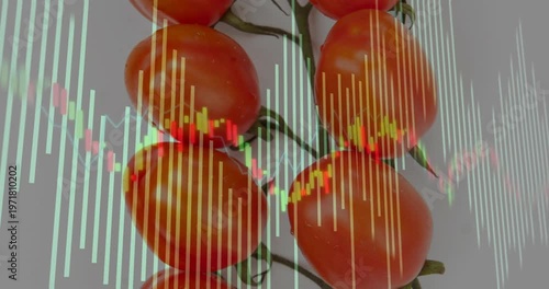 Overlay appearing over tomato cluster light bars pulsing and candle waveform drifting showing data