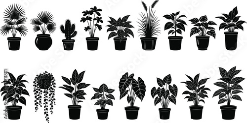 Indoor potted plant silhouette collection featuring various houseplants foliage botanical decorative plants isolated black vector set