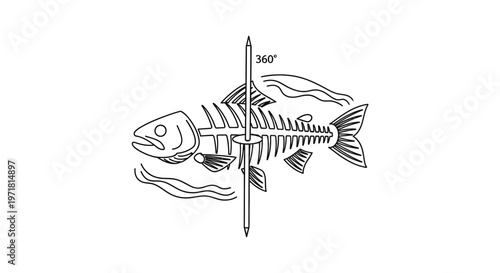 Fish Skeleton Rotating 360 Degrees Around Central Axis