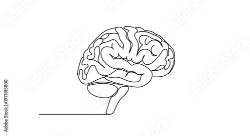 Minimalist Brain Line Art: Abstract Human Head Anatomy, Neuroscience Concept