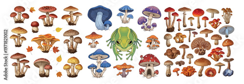 A vibrant and diverse collection of various mushroom species and a frog