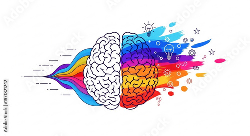 Creative vector illustration of split brain concept showing logical side versus imaginative side with colorful abstract elements on white background