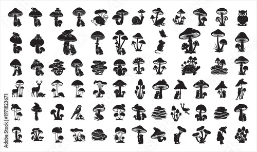 Collection of various black and white mushroom illustrations