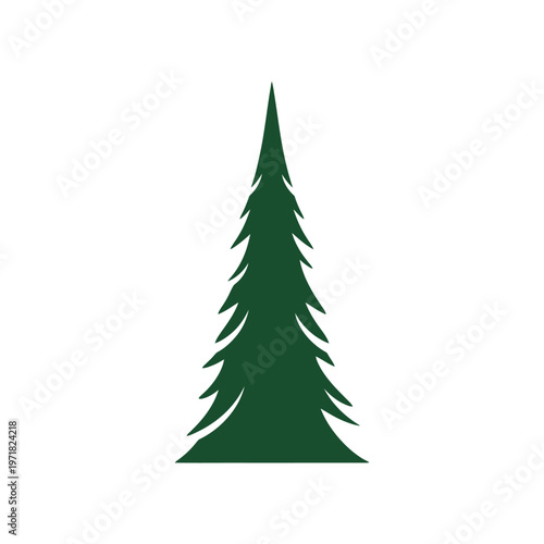 Evergreen conifer tree silhouette, a symbol of nature and the outdoors
