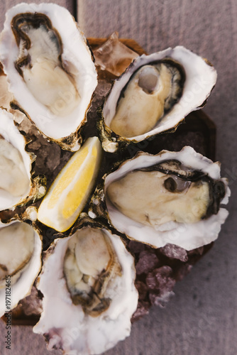 Oysters