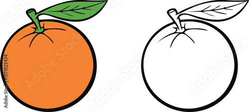 Fresh Orange Fruit with Green Leaf Vector Design
