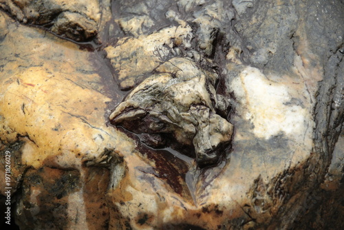 Canvas Print Close up texture of natural rock surface with detailed rugged patterns