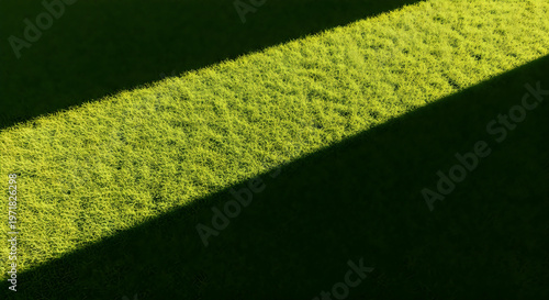Diagonal sunlight illuminates vibrant green grass against dark shadows