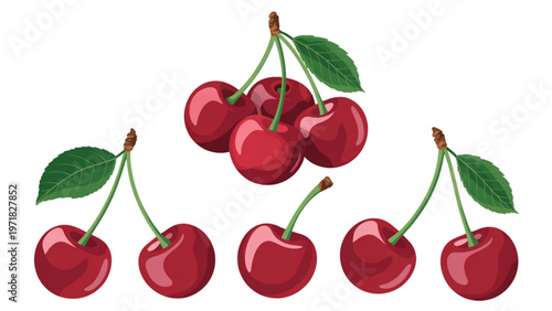 Fresh cherries hanging from a green branch with vibrant leaves Vector