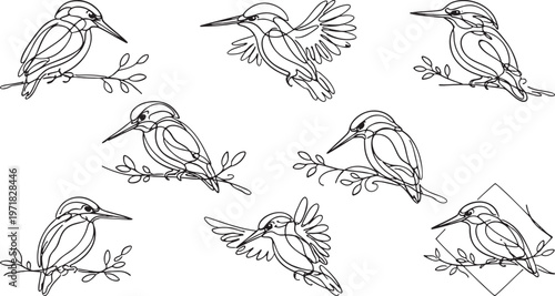 Kingfisher bird line icons set with perched and flying poses on branches minimal vector collection