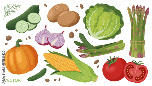 Colorful assortment of fresh vegetables arranged in a visually appealing manner Vector