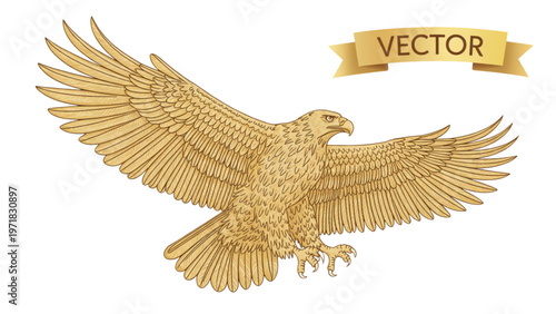 Obraz na plátne Golden eagle in detailed and intricate line art style Vector