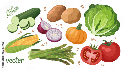 Assorted fresh vegetables including carrots, tomatoes, and leafy greens Vector